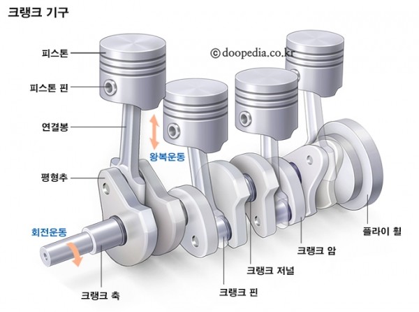 사진: 두산백과 두피디아