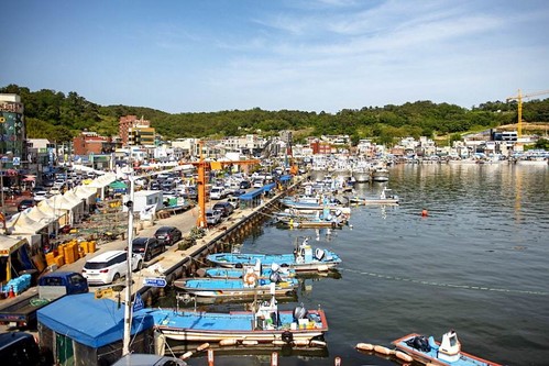 [지역/소상공인] 기장 연화리 해녀촌, 전복죽과 청정 바다로 완성한 미식·풍경 여행의 정점